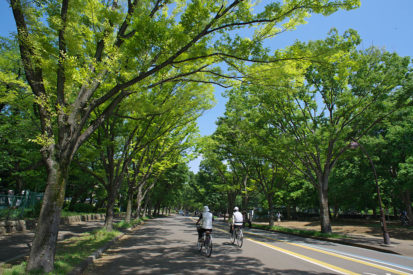 最新 東京23区で手持ち花火ができるオススメの公園 場所10選 れいかず