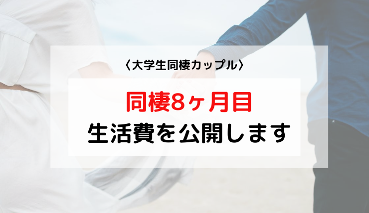 大学生同棲カップル 8ヶ月目の家計簿を大公開 かかった費用をお伝えします れいかず